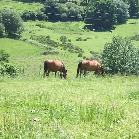 Casa Rural De Gonzalo Asturias *